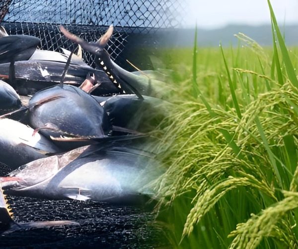 téléchargement (2)